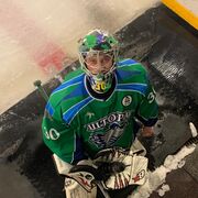 ���������� ���������, ���� ������� �������, 42 ����, ������������ ��� ����� � ���������, c�������� ���������