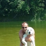  ,  Sezgin, 44