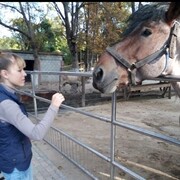  ,   EVA, 41 ,   ,   , c , 