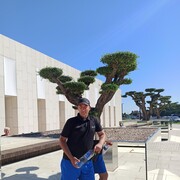 ���������� ���������, ���� ������� �������, 44 ����, ������������ ��� ������, ����� � ���������, c�������� ���������