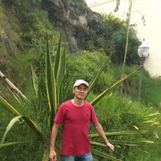 ���������� ����, ���� ������� ����, 55 ���, ������������ ��� ������, ����� � ���������, c�������� ���������