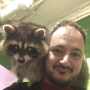 ���������� ������-��-����, ���� ������� ������, 34 ����, ������������ ��� ������, ����� � ���������