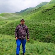 ���������� ������, ���� ������� ����, 38 ���, ������������ ��� ������, ����� � ���������, c�������� ���������