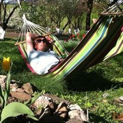 ���������� ������, ���� ������� �������, 38 ���, ������������ ��� ������