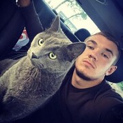  -,   , 29 ,   ,   