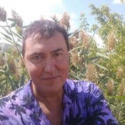 ���������� ���������, ���� ������� ������, 46 ���, ������������ ��� ����� � ���������, c�������� ���������