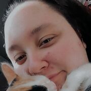 ���������� ��������, �����