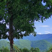 ���������� ����, ���� ������� �������, 39 ���, ������������ ��� ������, ����� � ���������, c�������� ���������