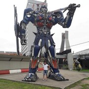 ���������� ������, ���� ������� ���������, 36 ���, ������������ ��� ������, ����� � ���������, c�������� ���������