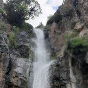 ���������� ������, ���� ������� �����, 35 ���, ������������ ��� ������, ����� � ���������, c�������� ���������