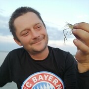 ���������� ������, ���� ������� �������, 43 ����, ������������ ��� ����� � ���������, c�������� ���������