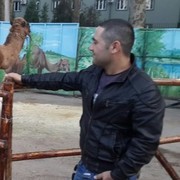 ���������� �������, ���� ������� ������, 37 ���, ������������ 