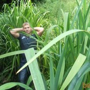  ,   , 35 ,   