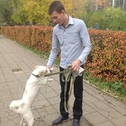 ���������� ������, ���� ������� �������, 38 ���, ������������ ��� ������, ����� � ���������