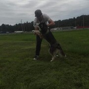 ���������� �����-���������, ���� ������� ���, 35 ���, ������������ ��� ������, ����� � ���������, c�������� ���������, ���������