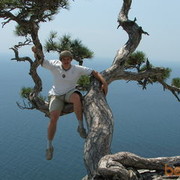 ���������� �������, ���� ������� Vladimir_333, 44 ����, ������������ ��� ����� � ���������, c�������� ���������