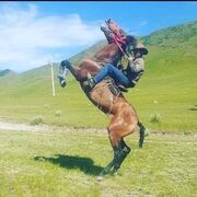 ���������� ������, ���� ������� ������, 43 ����, ������������ ��� ������, ����� � ���������