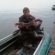  ,   , 53 ,   