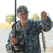 ���������� ����������, ���� ������� �������, 81 ���, ������������ 