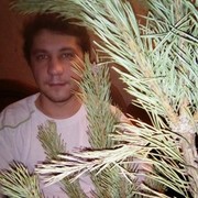 ���������� ������, ���� ������� ���������, 36 ���, ������������ ��� ����� � ���������, c�������� ���������