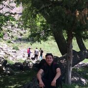 ���������� ������, ���� ����� �������, 24 ����, ������������ ��� ������, ����� � ���������