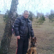 ���������� �����, ���� ������� �����, 46 ���, ������������ 