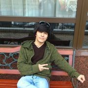 ���������� �����-���������, ���� ������� Anis, 36 ���, ������������ ��� ������