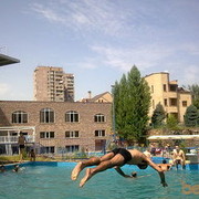  ,   Hayko, 41 ,   