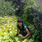  ,   , 54 ,  