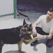 ���������� ������, ���� ������� �����, 32 ����, ������������ ��� ������, ����� � ���������