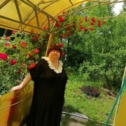 ���������� ���� �����������, ���� ������� �����, 59 ���, ������������ ��� c�������� ���������