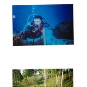 ���������� ������, ���� ������� �����, 56 ���, ������������ ��� ������, ����� � ���������, c�������� ���������