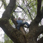 ���������� ������ ���, ���� ������� ������, 42 ����, ������������ ��� ������, ����� � ���������, c�������� ���������