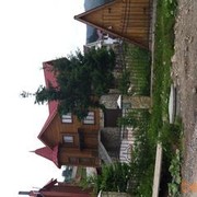 ���������� �����������, ���� ������� ����, 39 ���, ������������ 