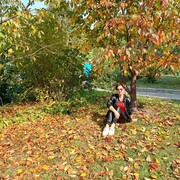 ���������� �����������, ���� ������� �����, 53 ����, ������������ ��� ������, ����� � ���������