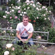 ���������� ��������������, ���� ������� �������, 40 ���, ������������ ��� ������, ����� � ���������, c�������� ���������