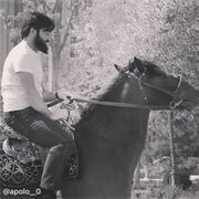 ���������� ������, ���� ������� Abu, 29 ���, ������������ ��� ������, ����� � ���������