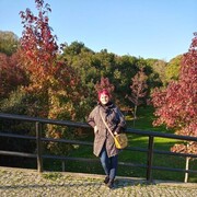  ,   , 62 ,     , c 