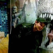 ���������� �������-����������, ������� ����, 33