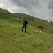  ,   , 31 ,   ,   