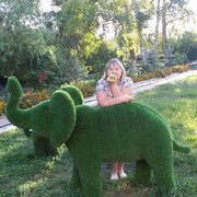 ���������� ��������, ���� ������� ������, 65 ���, ������������ ��� c�������� ���������