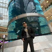 ���������� ������, ���� ������� �������, 43 ����, ������������ ��� ������, ����� � ���������