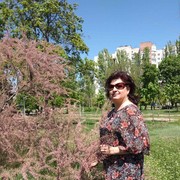  ,   , 52 ,  