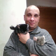 ���������� ������, ���� ������� ������, 48 ���, ������������ 