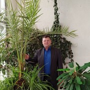 ���������� ������, ���� ������� ����������, 64 ����, ������������ ��� c�������� ���������