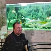 ���������� �������, ���� ������� ��������, 46 ���, ������������ ��� ������, ����� � ���������