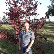  ,   , 50 ,     , c , 
