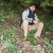 ���������� ����, ���� ������� Anar, 42 ����, ������������ ��� ������, ����� � ���������, c�������� ���������