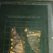 ���� �������