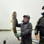 ���������� �����-���������, ���� ������� �������, 42 ����, ������������ ��� ������, ����� � ���������